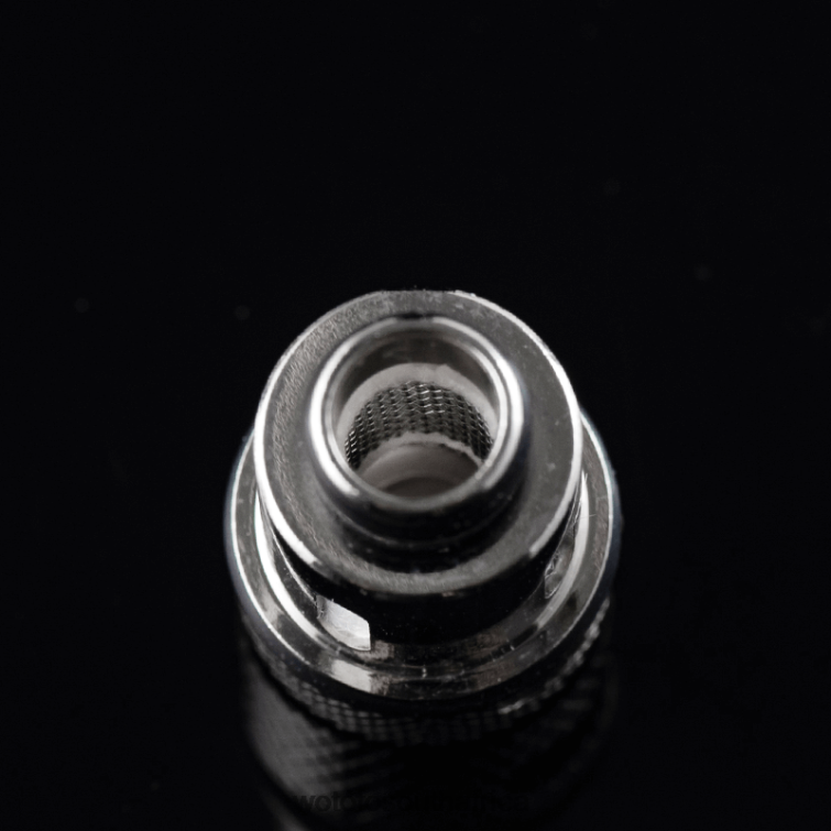 Wotofo SMRT RPM2 POD COIL D33 CLAPTON MESH 3PCS F684N383 Wotofo Vape Flavours